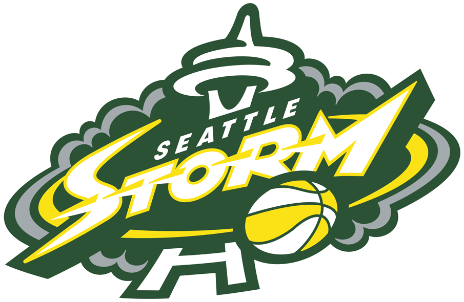 Seattle Storm 2016-Pres Primary Logo iron on heat transfer...